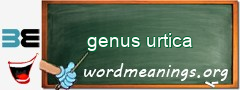 WordMeaning blackboard for genus urtica